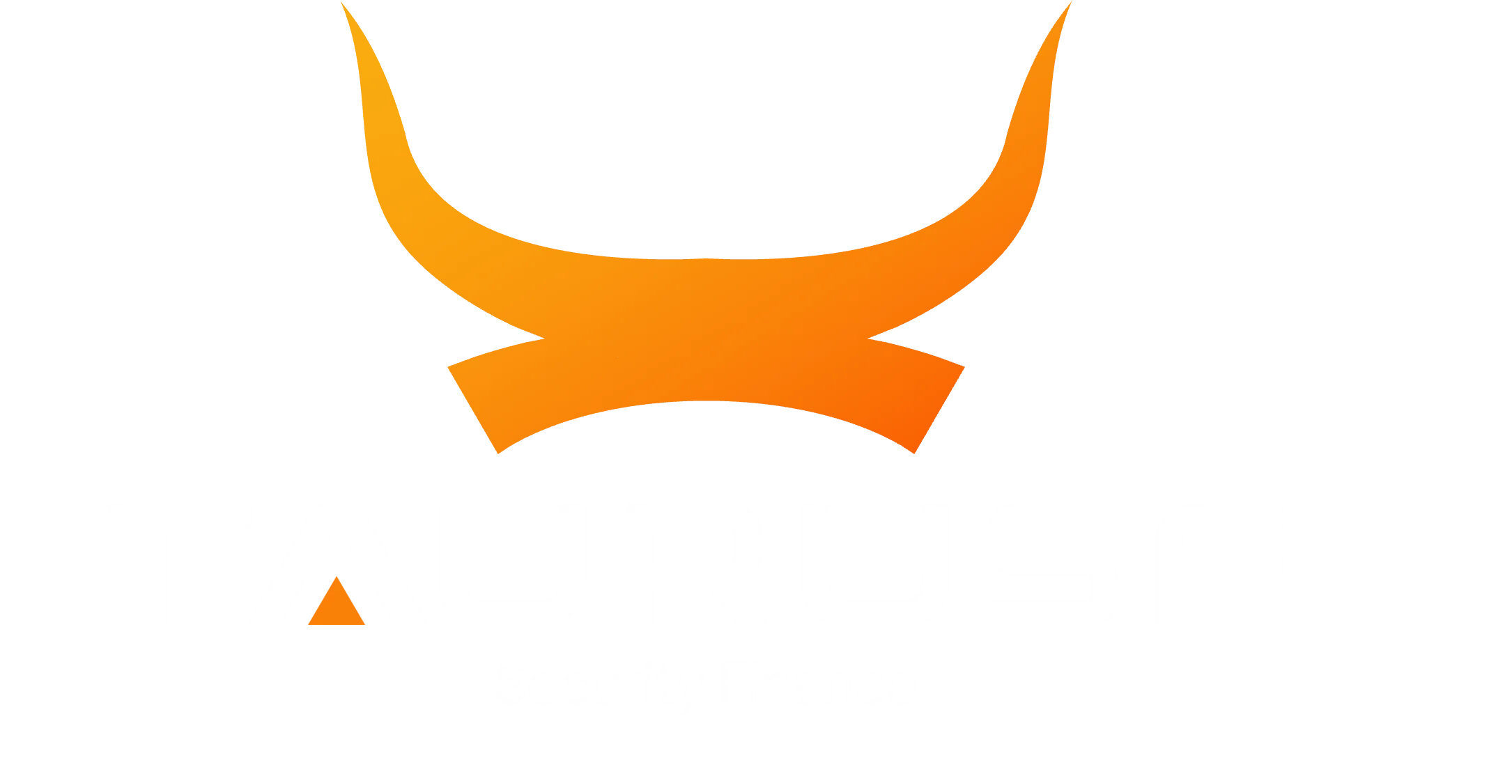 TAURUSF Security Finance