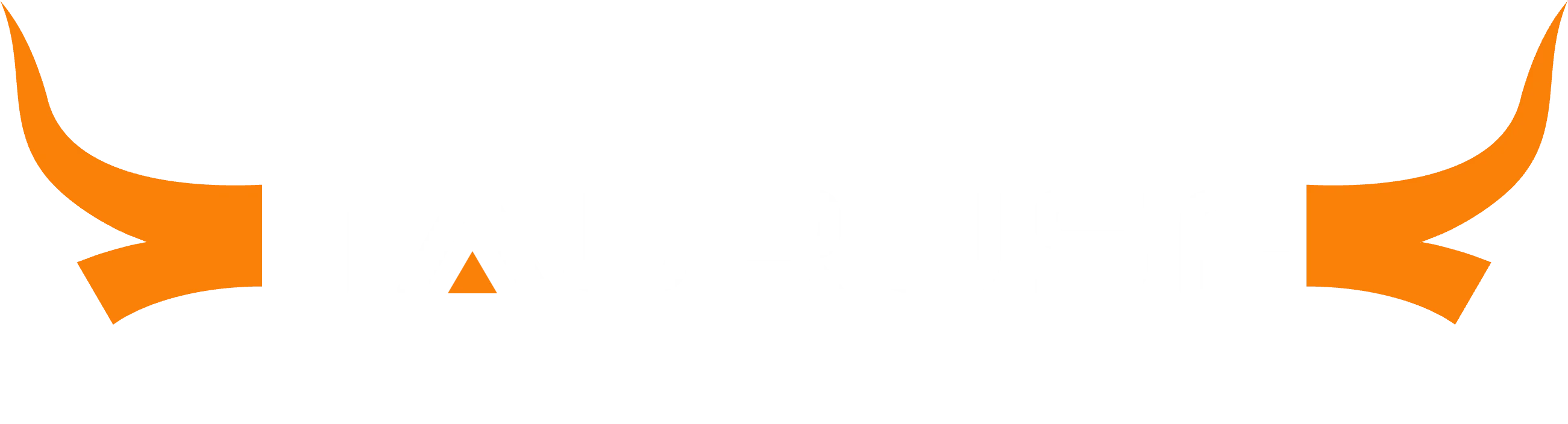 TAURUSF Security Finance